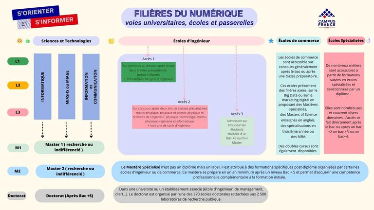 Schéma voies d'accès numérique